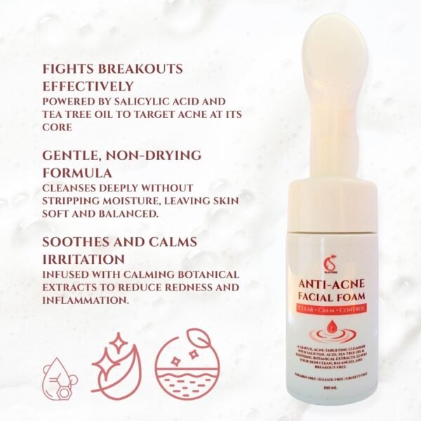slayvibe anti acne facial foam wash benefits